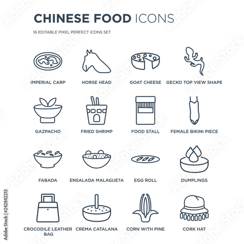 16 linear Chinese Food icons such as Imperial Carp, Horse Head, Crema Catalana, Crocodile leather bag, Dumplings modern with thin stroke, vector illustration, eps10, trendy line icon set.