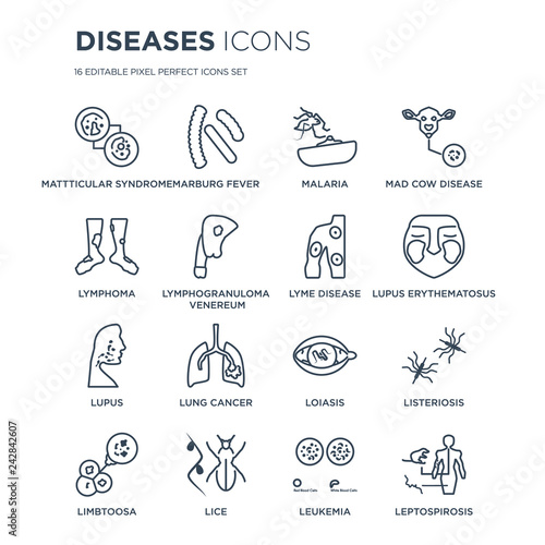16 linear Diseases icons such as Mattticular syndrome, Marburg fever, Lice, Limbtoosa, Listeriosis, Leptospirosis modern with thin stroke, vector illustration, eps10, trendy line icon set.
