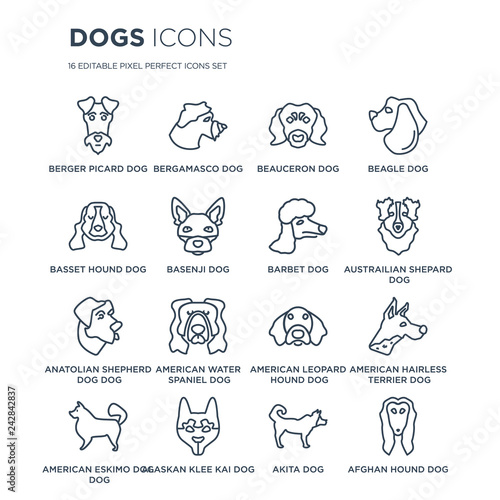 16 linear dogs icons such as Berger Picard dog, Bergamasco Alaskan Klee Kai American Eskimo Dog dog modern with thin stroke, vector illustration, eps10, trendy line icon set.