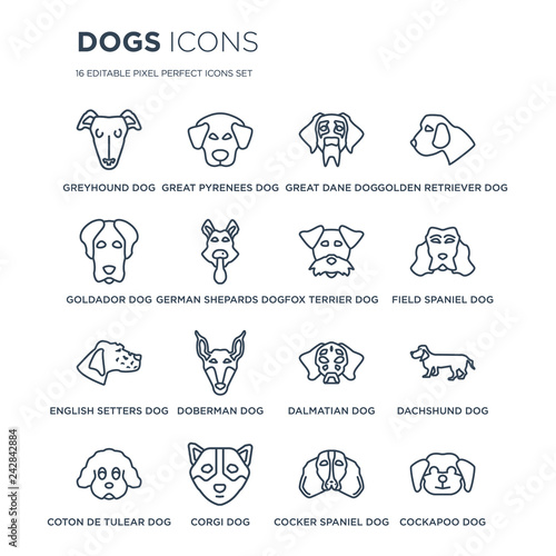 16 linear dogs icons such as Greyhound dog, Great Pyrenees Corgi Coton De Tulear Dachshund dog modern with thin stroke, vector illustration, eps10, trendy line icon set.