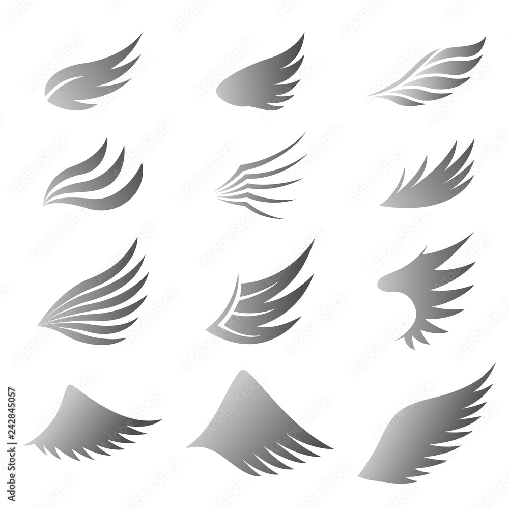Set of gray wings on white background Set of gray wings on white background