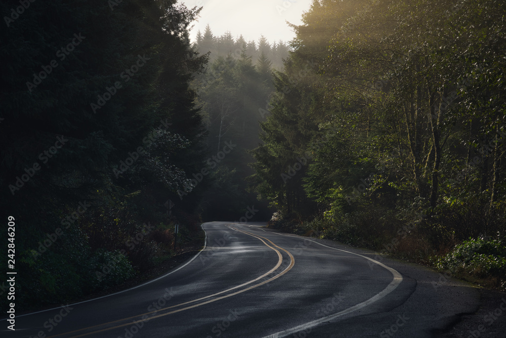 Oregon Roads and sunlight Oregon Roads and sunlight