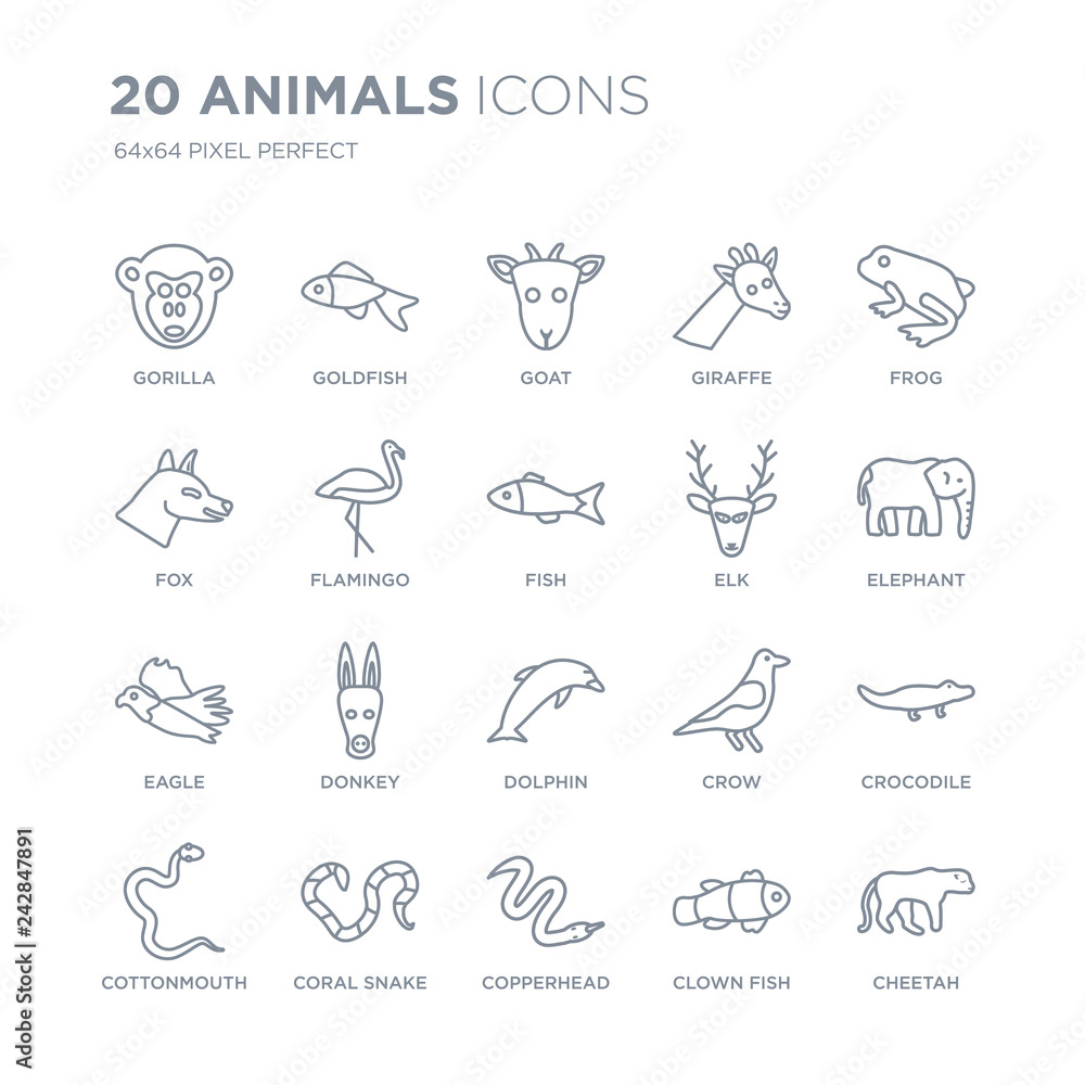 Collection of 20 animals linear icons such as Gorilla, Goldfish, copperhead, coral snake, cottonmouth, Frog, Elk, Dolphin line icons with thin line stroke, vector illustration of trendy icon set.