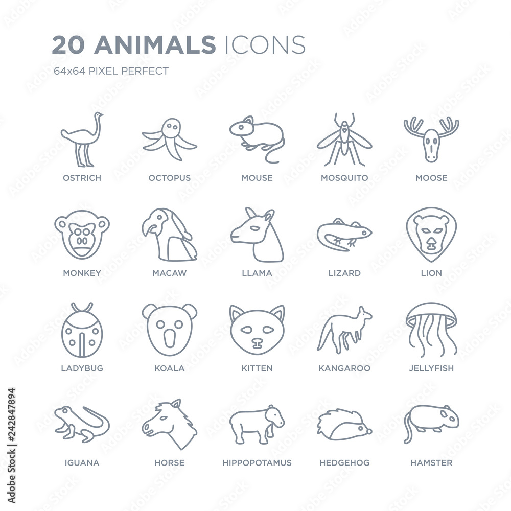 Collection of 20 animals linear icons such as Ostrich, Octopus, Hippopotamus, Horse, iguana, Moose, Lizard, kitten, Ladybug line icons with thin line stroke, vector illustration of trendy icon set.