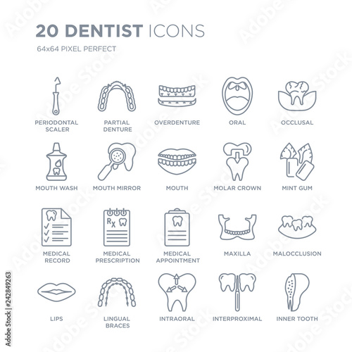 Collection of 20 Dentist linear icons such as Periodontal scaler, Partial Denture, Intraoral, Lingual braces, Lips, Occlusal line icons with thin line stroke, vector illustration of trendy icon set.