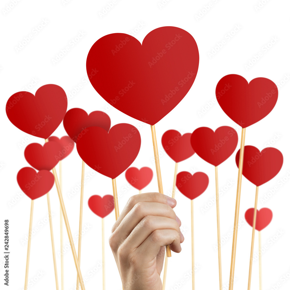 Many red hearts on wooden sticks, hand holding one of them, isolated on white background