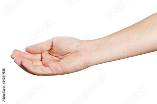 Hand showing or asking or giving something, isolated on white background