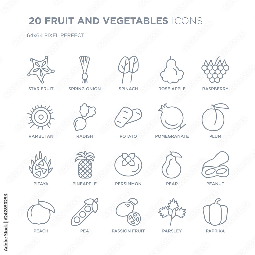 Collection of 20 FRUIT AND VEGETABLES linear icons such as Star fruit, Spring onion, Passion Pea, Peach, Raspberry line icons with thin line stroke, vector illustration of trendy icon set.