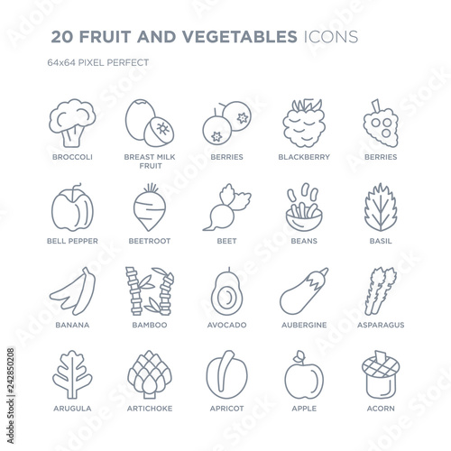 Collection of 20 FRUIT AND VEGETABLES linear icons such as Broccoli, Breast milk fruit, Apricot, Artichoke, Arugula, Berries line icons with thin line stroke, vector illustration of trendy icon set.