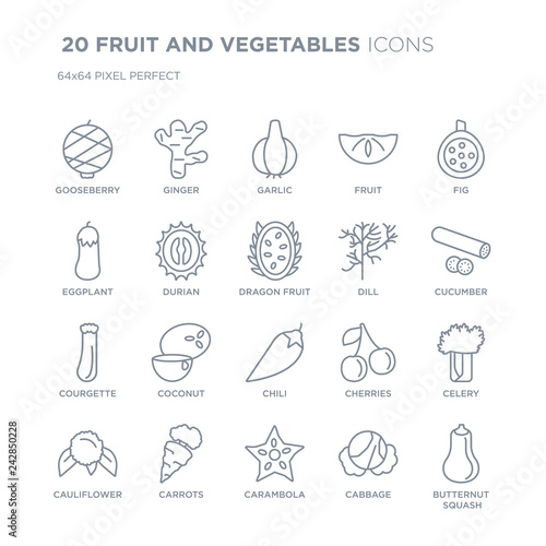 Collection of 20 FRUIT AND VEGETABLES linear icons such as Gooseberry  Ginger  Carambola  Carrots  Cauliflower  Fig  Dill line icons with thin line stroke  vector illustration of trendy icon set.