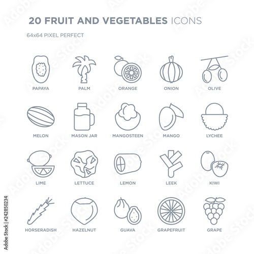 Collection of 20 FRUIT AND VEGETABLES linear icons such as Papaya, Palm, Guava, Hazelnut, Horseradish, Olive, Mango, Lemon line icons with thin line stroke, vector illustration of trendy icon set.
