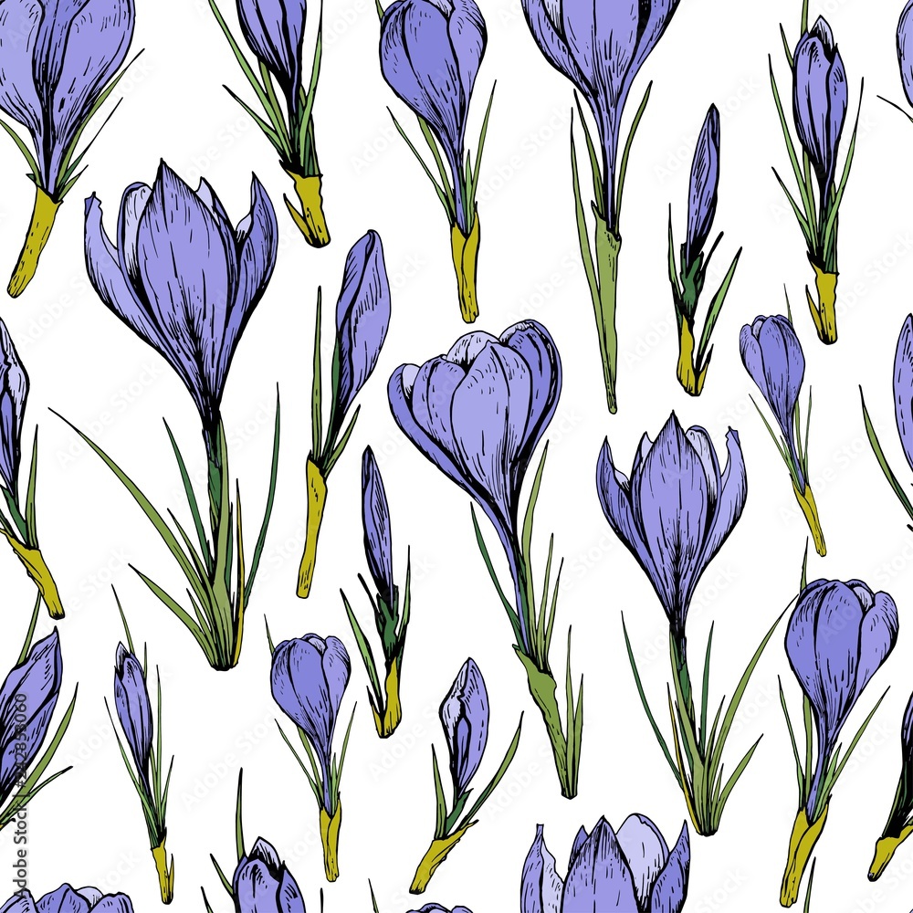 Seamless pattern with purple crocus flowers. Hand drawn vector illustration. Seamless pattern with purple crocus flowers. Hand drawn vector illustration.