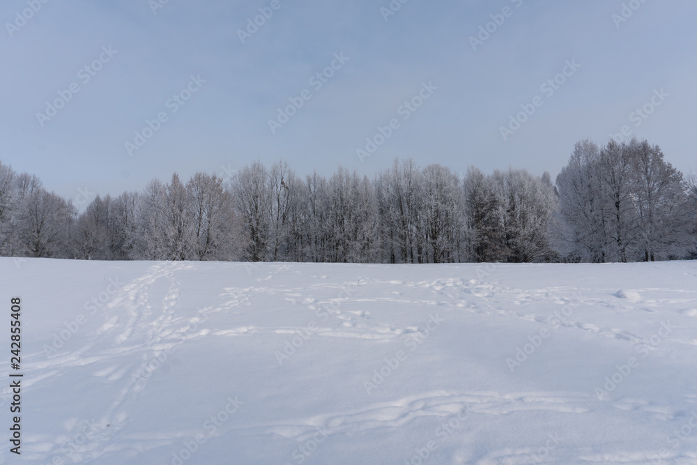 Park in snow. Minsk, Belarus