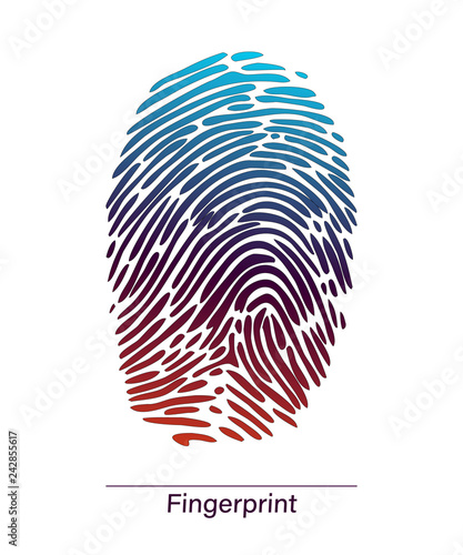 Color fingerprint symbol shape.Fingerprint. Abstract vector fingerprint icon Biometric security sign. Cyber security concept. Interface button