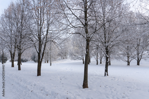 Park in snow. Minsk, Belarus © Anastasia