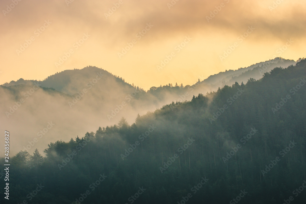 Obraz premium Wschód słonca w Pieninach