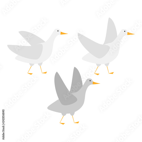 Goose flat illustration. Illustration of a goose on white background.