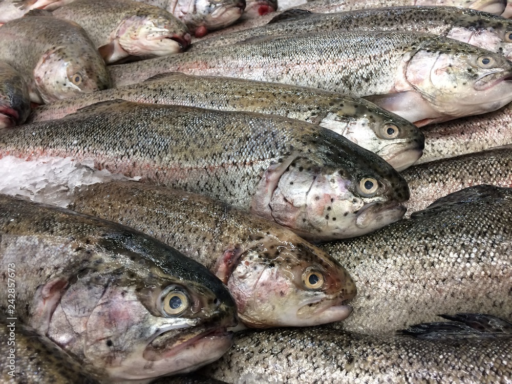 Fresh trout fish entirely on the counter of the store. Fresh trout fish entirely on the counter of the store.