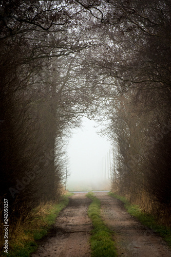 Licht am Ende des Tunnels
