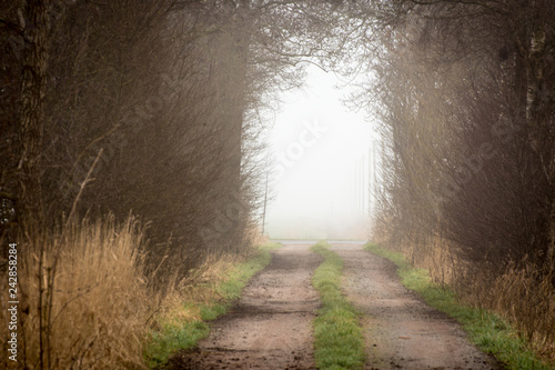 Licht am Ende des Tunnels - Ostfriesland - Böhmerwold