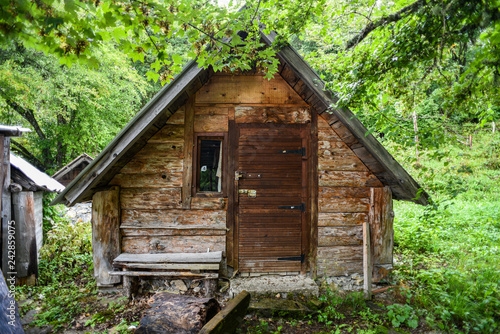 Old wooden small abandoned house in the woods. © Kozioł Kamila