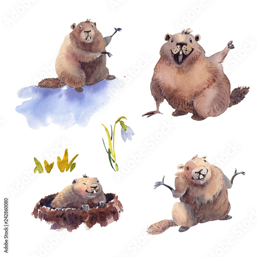 Happy Groundhog Day - hand drawn watercolor collection illustrations character card groundhog photo