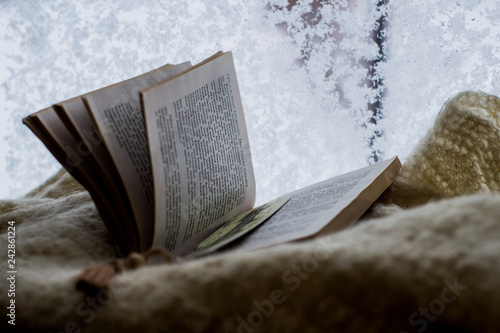 Book near the winter window