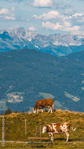 Smartphone HD wallpaper of beautiful alpine view at Wagrain - Salzburg - Austria © Martin Erdniss