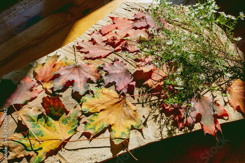 Fresh flowers and beautiful autumn leaves on a wooden board. Still life.