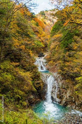 西沢渓谷の鮮やかな紅葉と滝