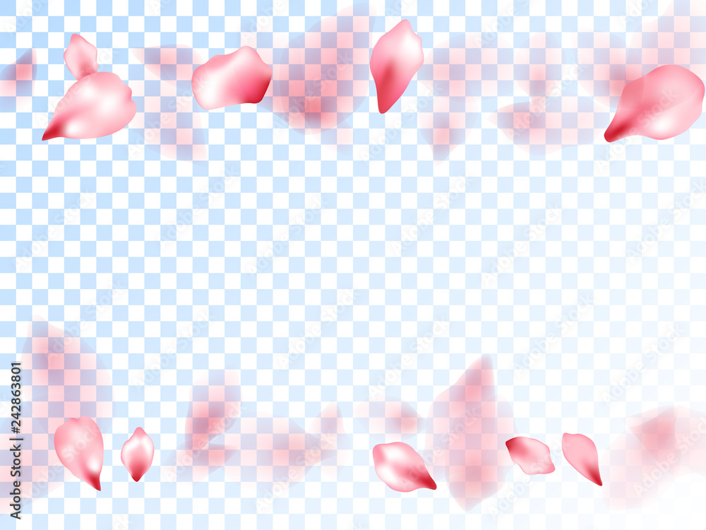 Japanese cherry petals on transparent background. Japanese cherry petals on transparent background.