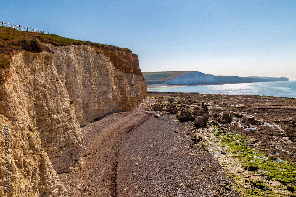 Sussex Coastal Landscape at Low Tide in Summer