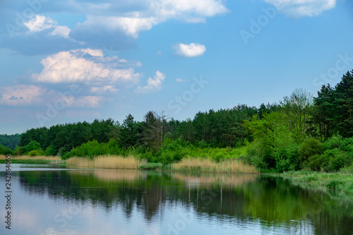 Clean lake in green spring summer forest