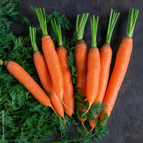 Bright ripe carrots with leaves on the table. Concept-healthy food, vegetarianism, raw food, a source of carotene and vitamins A,B .