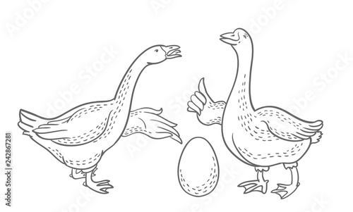 Two geese, goose egg outline drawing, cartoon funny goose