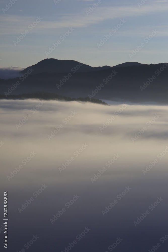 Fototapeta premium Background with fresh air, magic light and dense fog cover forest in the plateau at dawn. Beautiful original photo used for tourism advertising, design, printing, newspapers and more