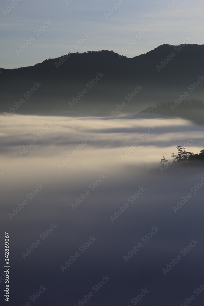 Fototapeta premium Background with fresh air, magic light and dense fog cover forest in the plateau at dawn. Beautiful original photo used for tourism advertising, design, printing, newspapers and more