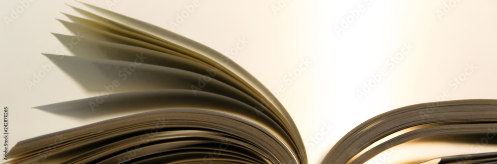 Obraz premium Open book with bright light on background, space for text