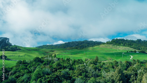 Waitomo countryside, panoramic view of New Zealand hills in spring