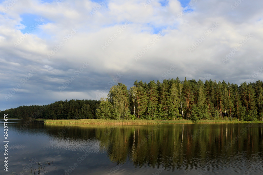 Beautiful landscape of forest lake in Lithuania.