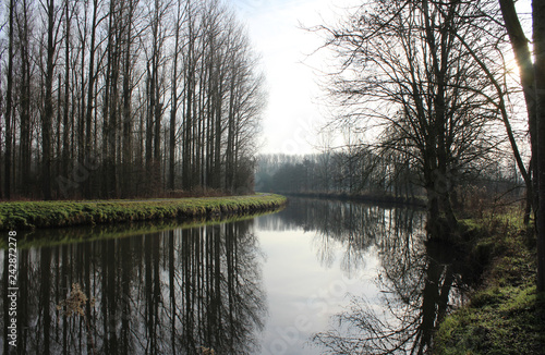 Lovely winter view of the River Dender and trees reflected in the water, as it flows near Welle in East Flanders in Belgium. photo