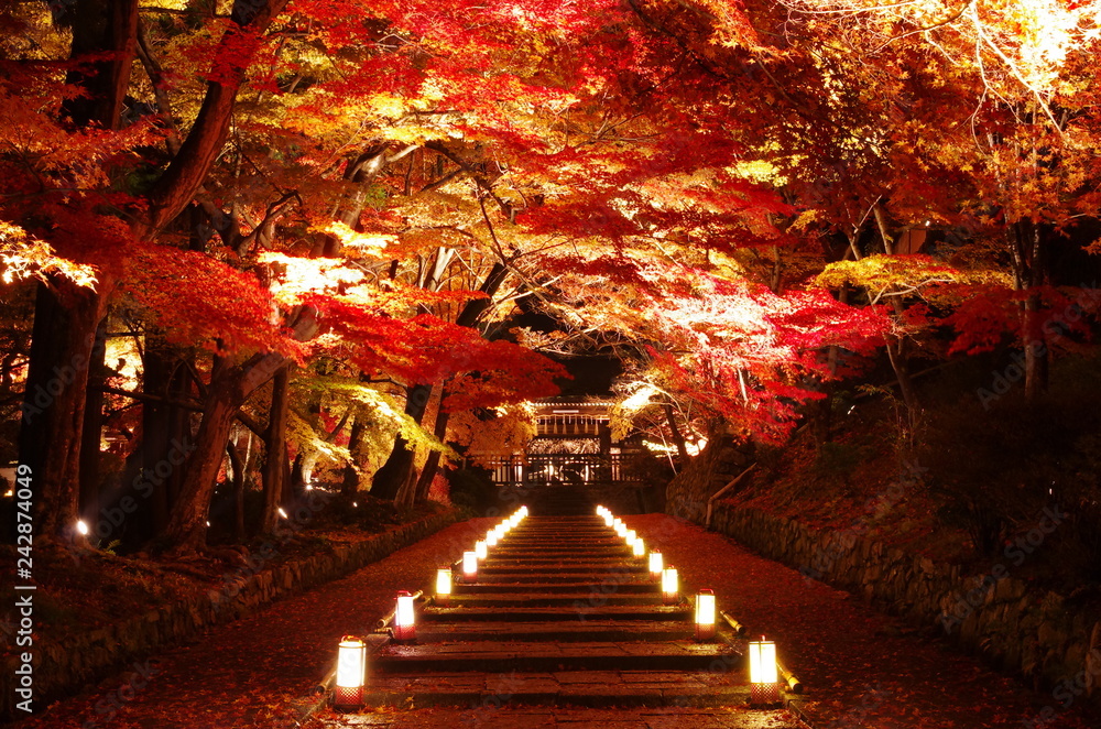 Fototapeta premium 秋の京都・毘沙門堂の紅葉
