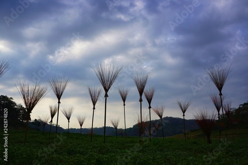 sky