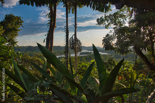 the Napo river through dense tropical vegetation photo