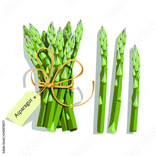Asparagus vegetable stem. Bunch of fresh green asparagus sprout. Healthy food, dieting, vegetarian salad recipe design.