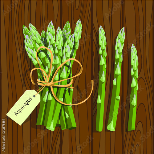 Asparagus vegetable stem. Bunch of fresh green asparagus sprout. Healthy food, dieting, vegetarian salad recipe design.