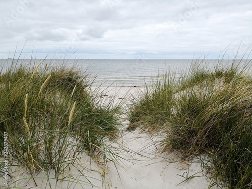 Fototapeta Naklejka Na Ścianę i Meble -  Baltic Sea coast in Schleswig Holstein
