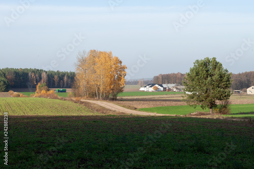  Wiejski krajobraz jesienny z cysterną w tle