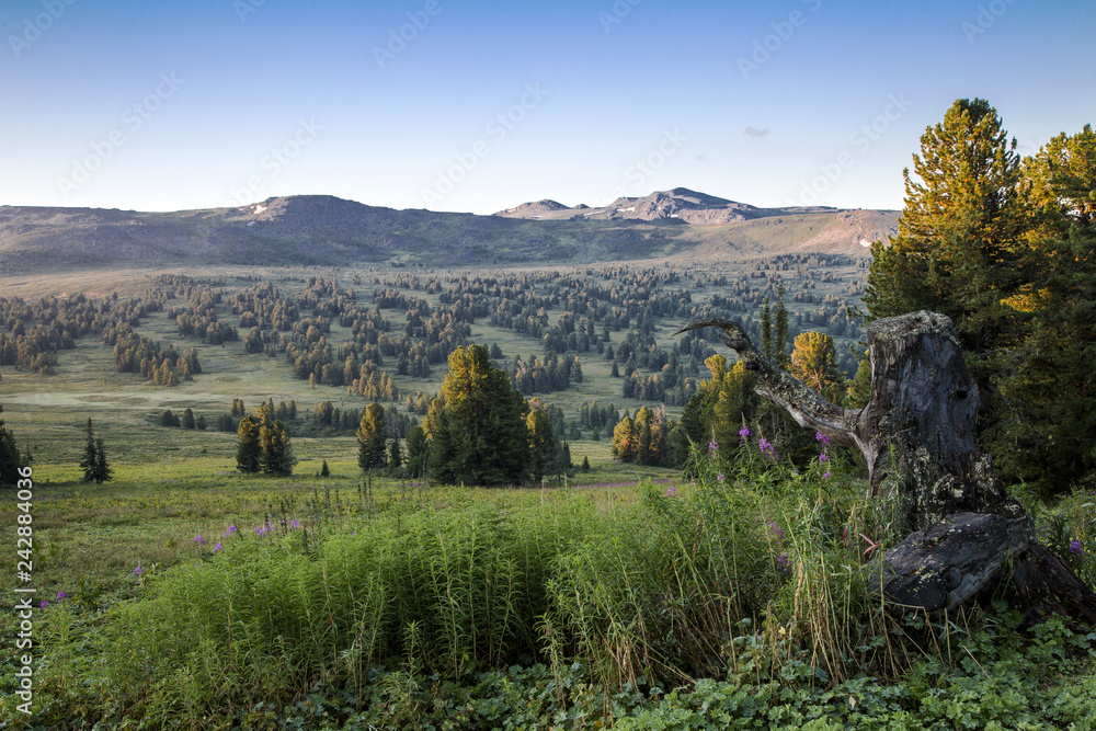 The Iolgo Range, Altai