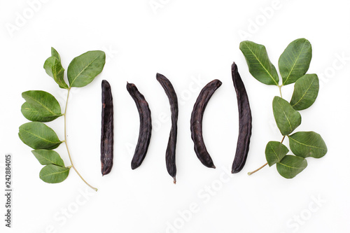 Ripe organic carob fruit pods and green leaves from locust tree on white background. Healthy alternative to cocoa and sugar photo